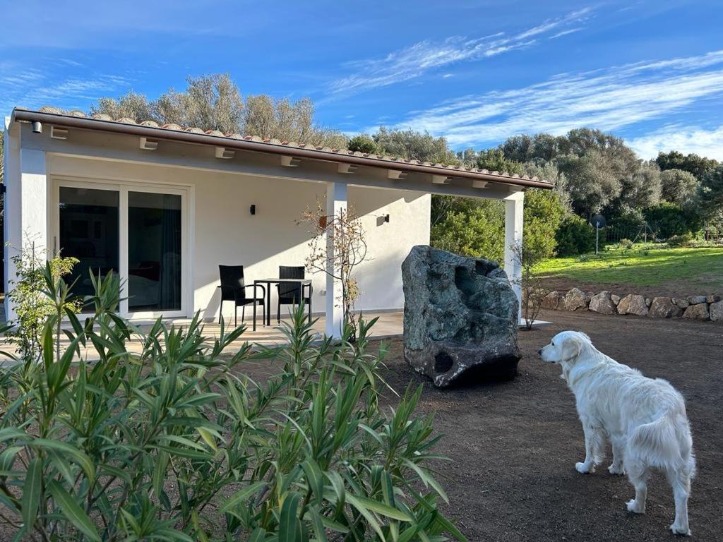 La Piana Holiday House Bassacutena Zewnętrze zdjęcie