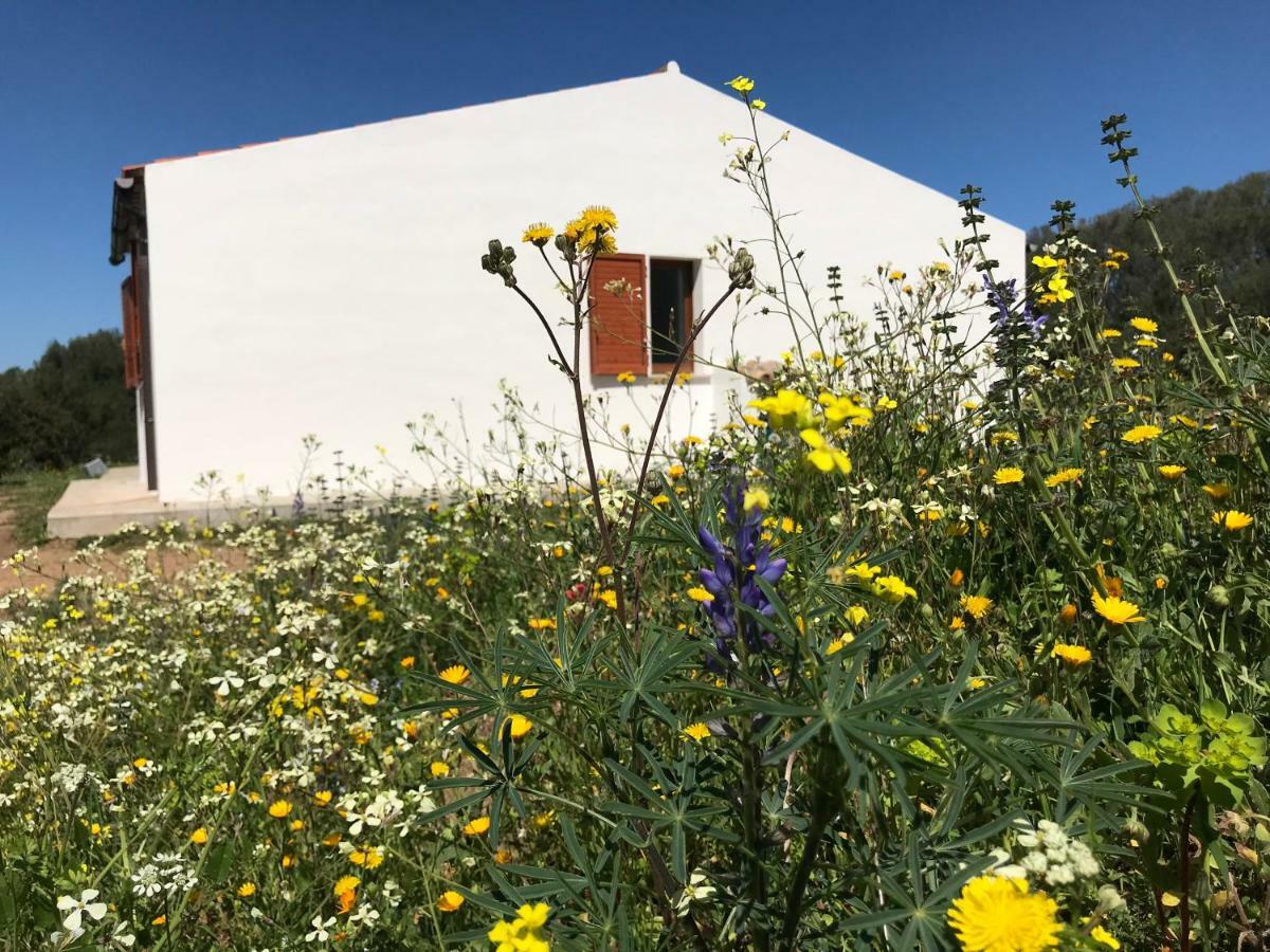 La Piana Holiday House Bassacutena Zewnętrze zdjęcie